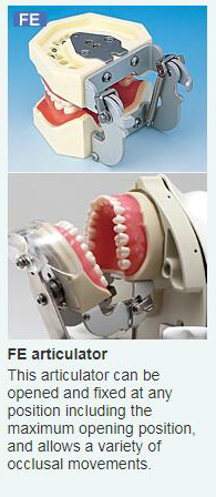 FE Articulator